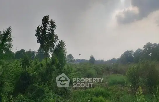 image_rental-22148734