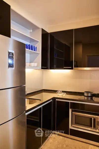 Modern kitchen with sleek black cabinets and stainless steel appliances