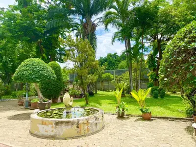 Lush garden with fountain and manicured trees in serene setting