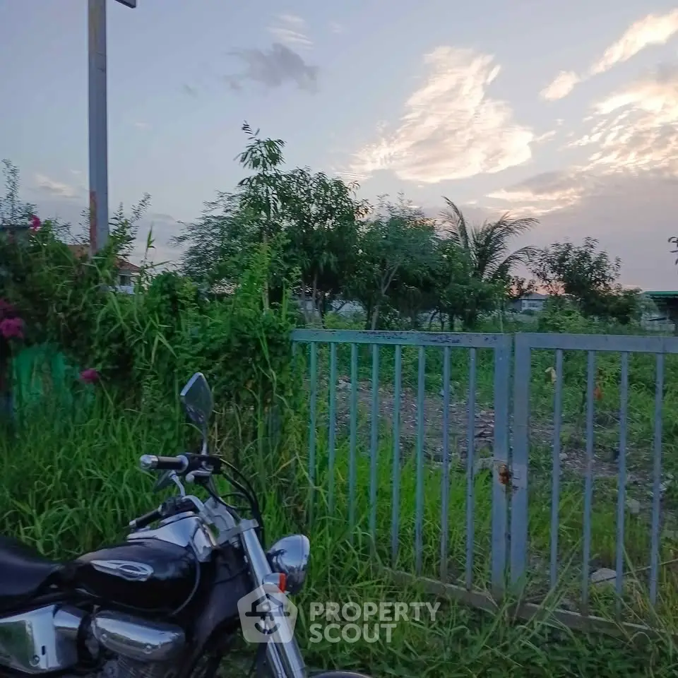 Charming garden view with lush greenery and serene sky, perfect for tranquil living.
