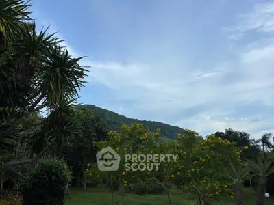 image_rental-28999822