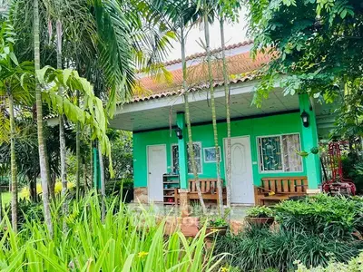 Charming green house surrounded by lush tropical garden with vibrant plants and trees.