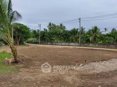 Vacant land plot with palm trees, ideal for development in tropical setting.