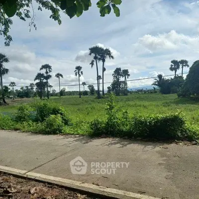 Scenic view of lush green field with palm trees and distant mountains, perfect for real estate development.