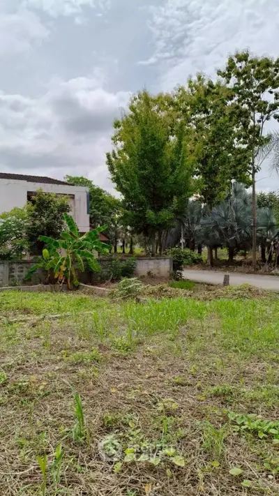 Spacious plot of land with lush greenery and trees, perfect for development or investment.