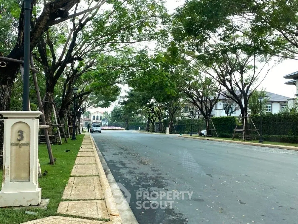 Charming tree-lined residential street with elegant houses and lush greenery.