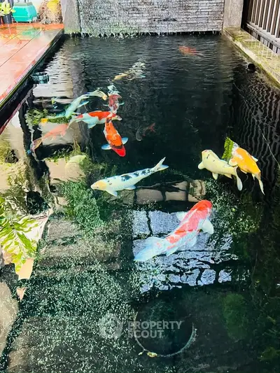 Stunning koi pond in a serene garden setting, perfect for relaxation and tranquility.