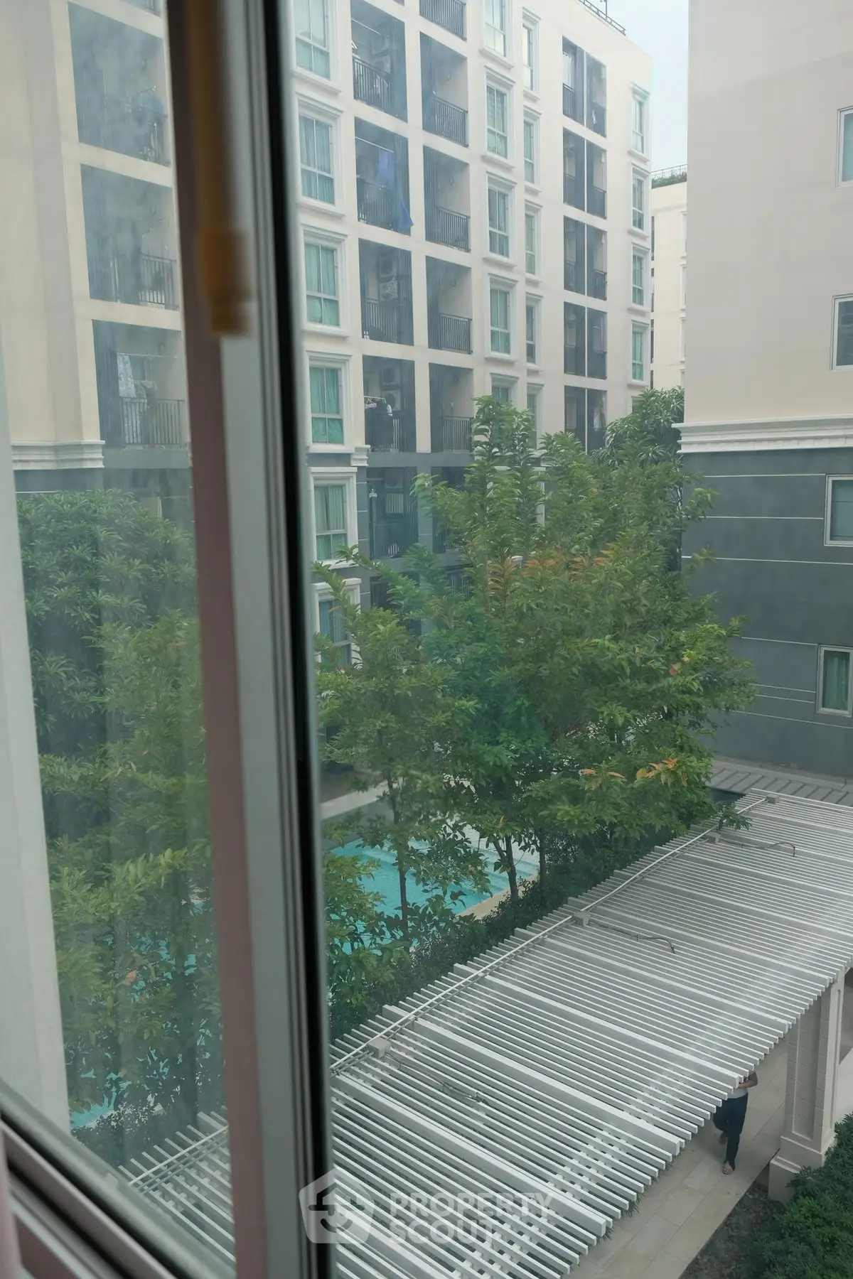 Modern apartment view with lush greenery and pool from window