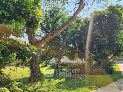 Lush garden with mature trees and sunny ambiance, perfect for outdoor relaxation.