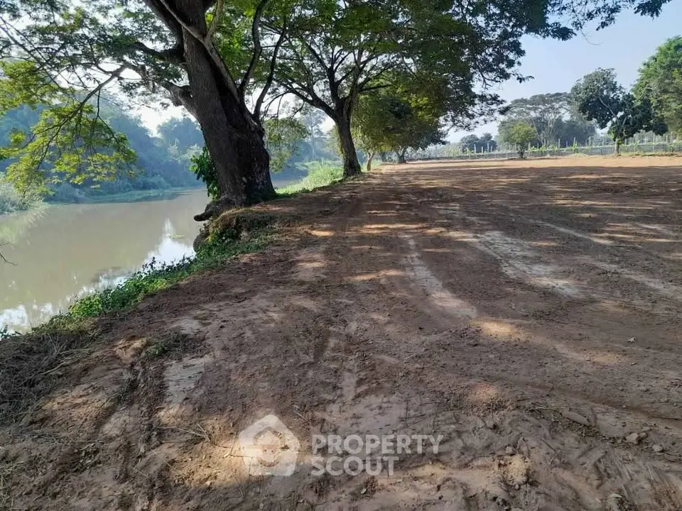 Expansive riverside land with lush trees, perfect for development or recreation.