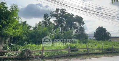 image_rental-28436157