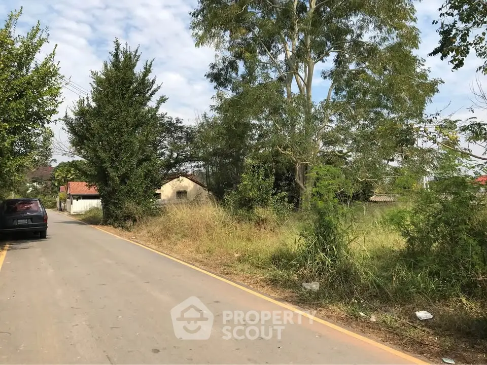 Scenic rural road with lush greenery and distant houses, perfect for serene living.