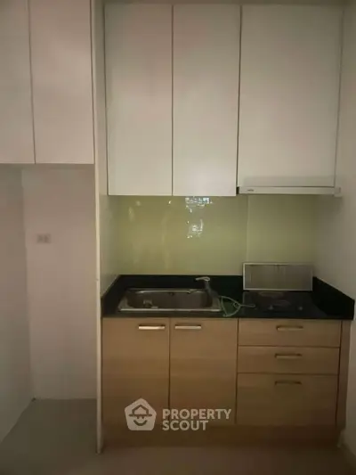 Compact kitchen with modern cabinetry and sleek countertop