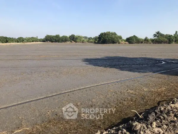 image_rental-22706727