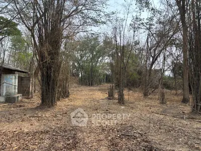 Expansive plot of land with mature trees, ideal for development or investment opportunities.