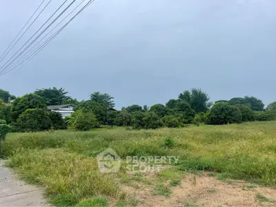 Expansive green land plot with lush trees, perfect for development or investment opportunities.