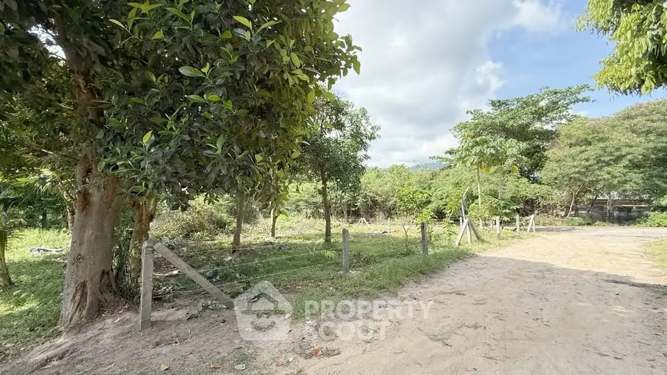 Spacious land plot with lush greenery and clear skies, ideal for development or investment.