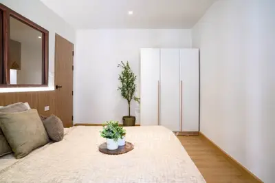 Modern bedroom with minimalist decor, featuring a cozy bed, wardrobe, and potted plant on wooden flooring.