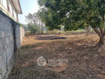 Spacious land plot with potential for development, featuring mature trees and a boundary wall.