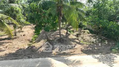 Lush tropical garden with palm trees and greenery, perfect for serene outdoor living.