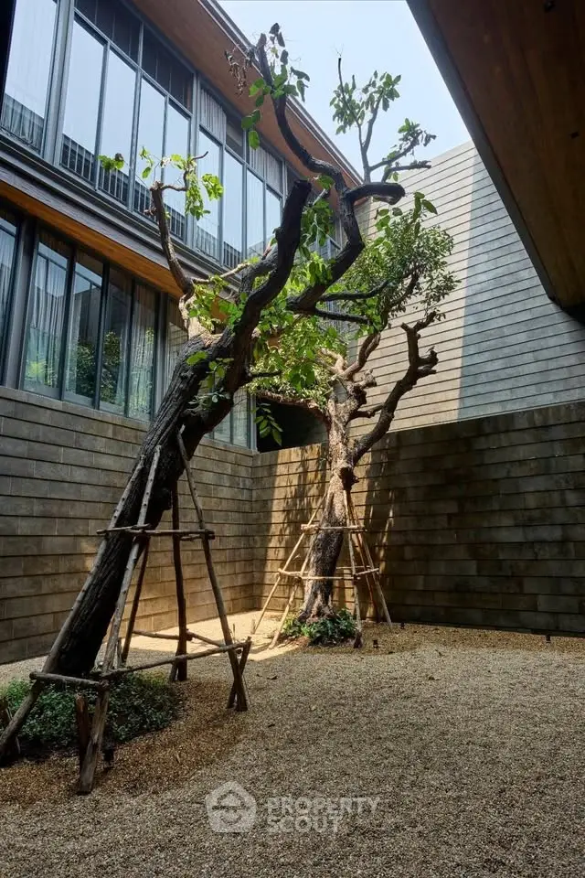 Modern architectural courtyard with unique tree feature and sleek design.