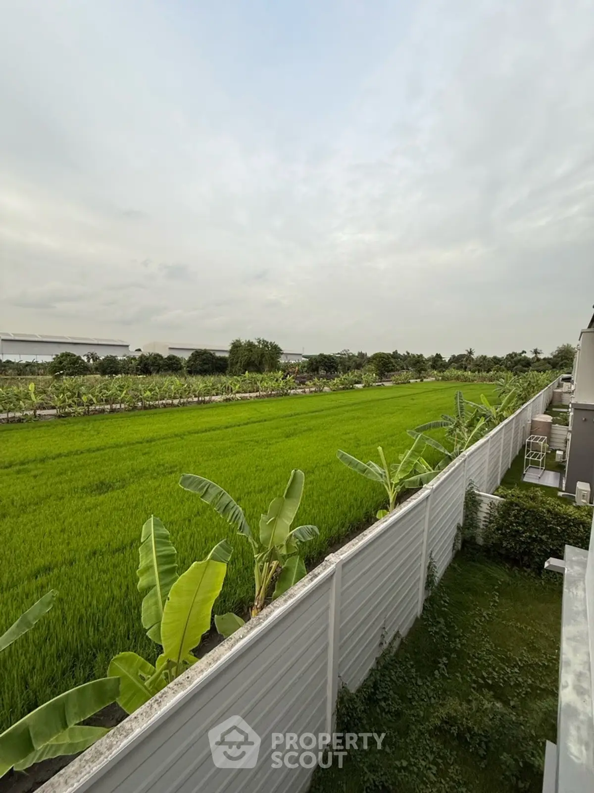 Expansive green field view from a modern residential property, perfect for nature lovers.
