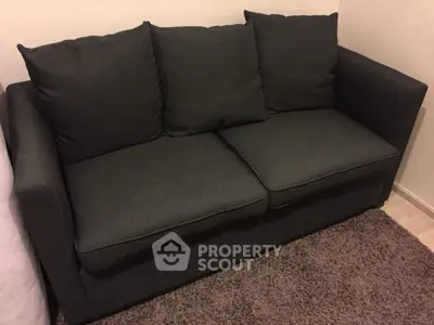Cozy dark gray sofa on plush carpet in modern living room setting.