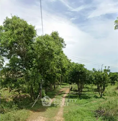 Scenic rural land with lush greenery and a dirt path, perfect for development or agriculture.