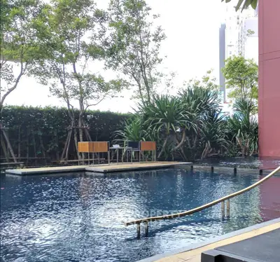Luxurious outdoor pool area with lush greenery and modern seating, perfect for relaxation and leisure.