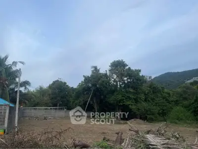 image_rental-27384865