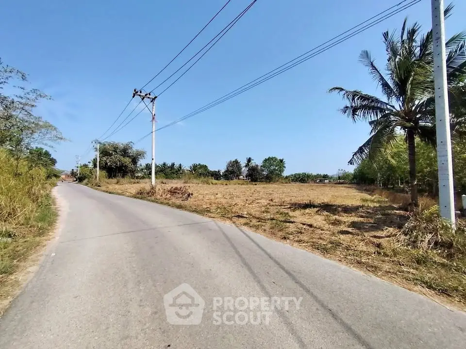 Expansive land plot with road access and lush greenery, perfect for development or investment opportunities.