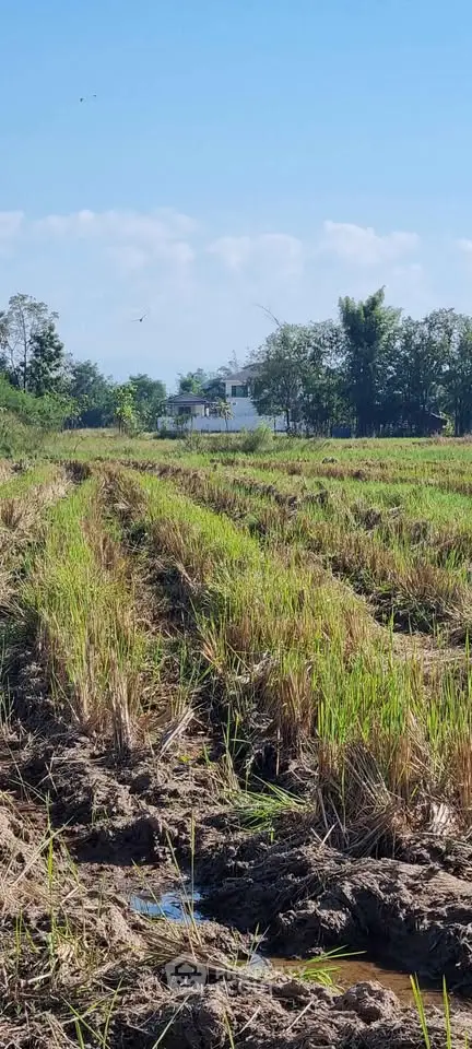 image_rental-29188078