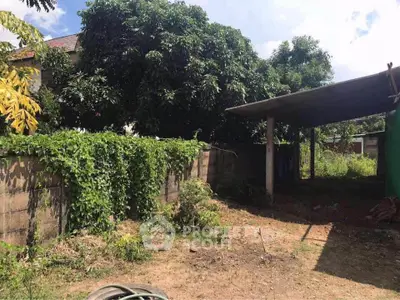 Spacious backyard with lush greenery and partial covered area, ideal for gardening or outdoor activities.