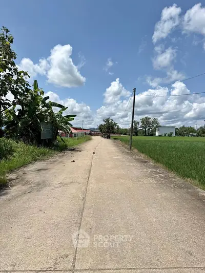 Scenic rural road with lush greenery and blue sky, ideal for countryside living.