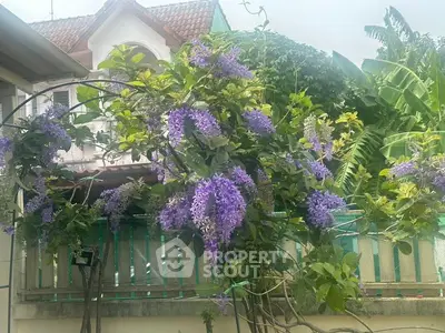 Charming garden with lush purple flowers and a cozy house backdrop.