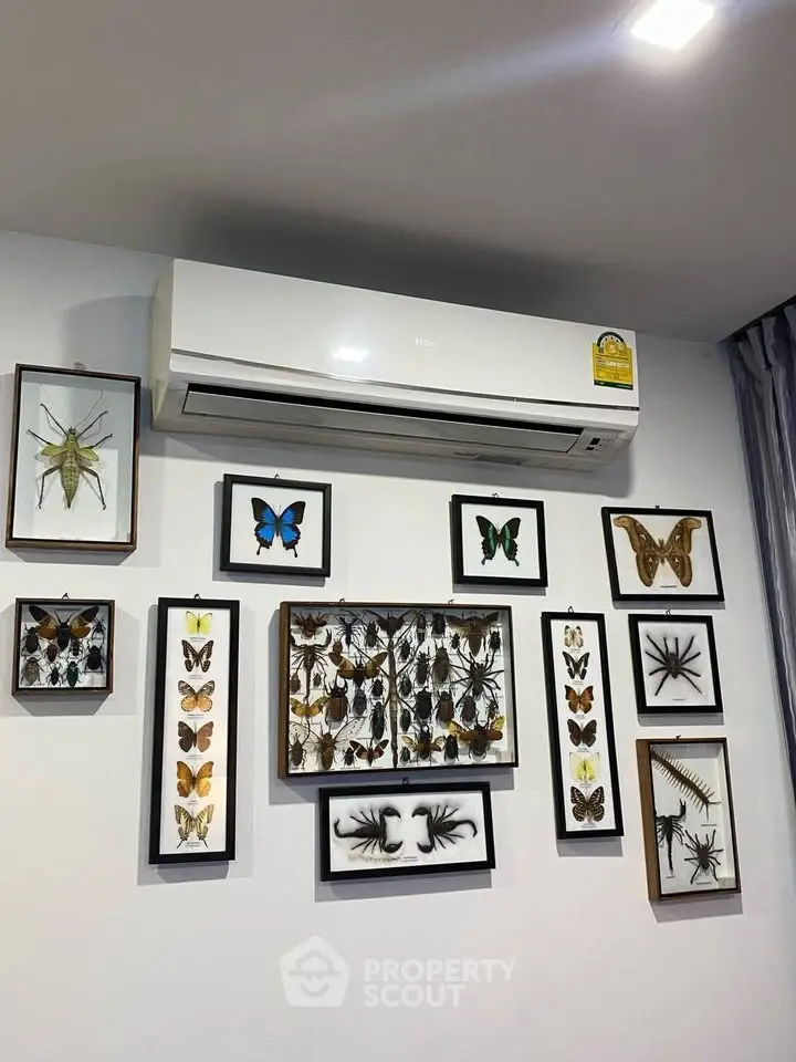Stylish interior wall with air conditioner and framed insect art display