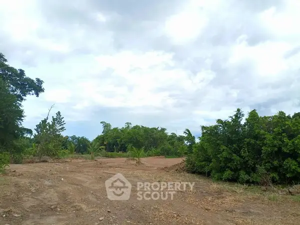 image_rental-27269345