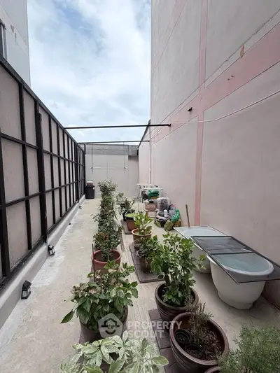 Spacious rooftop garden with potted plants and urban view, perfect for relaxation and gardening enthusiasts.
