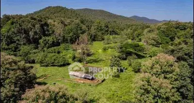 Scenic aerial view of rustic cabin surrounded by lush greenery and mountains, perfect for nature lovers.