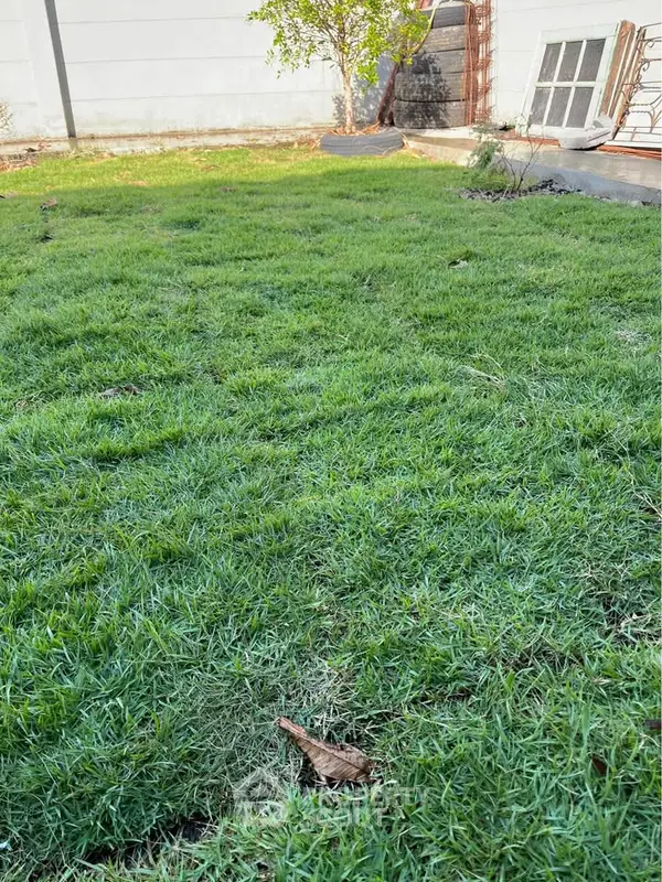 image_rental-29053757