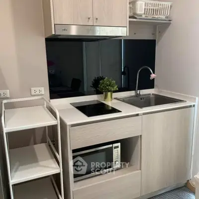 Modern compact kitchen with sleek appliances and stylish cabinetry