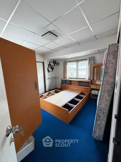 Spacious bedroom with blue carpet and wooden bed frame, ample natural light from window.