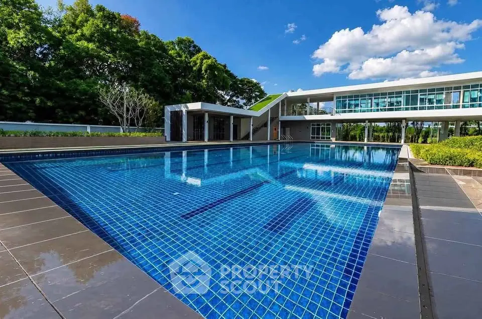 Luxurious modern swimming pool with sleek design and lush greenery, perfect for relaxation and leisure.