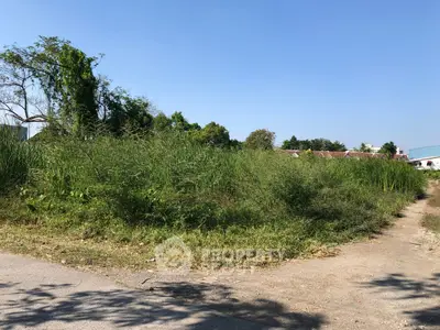 image_rental-26989368