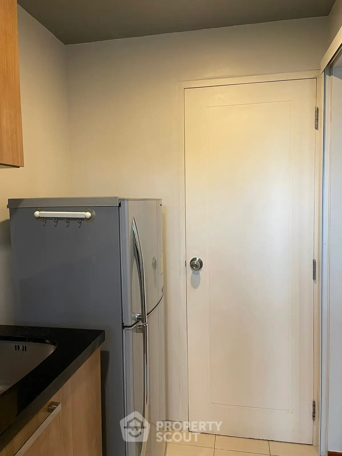 Compact kitchen with modern fridge and sleek cabinetry