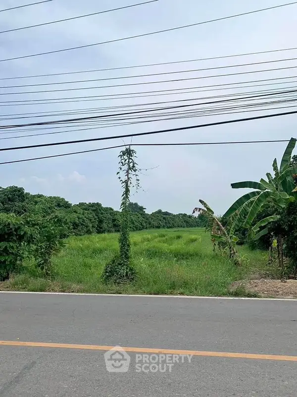 image_rental-27754528