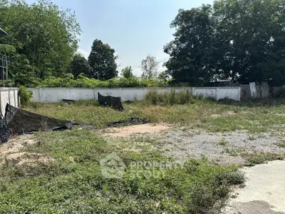 Spacious vacant land with lush greenery, ideal for development or investment opportunities.