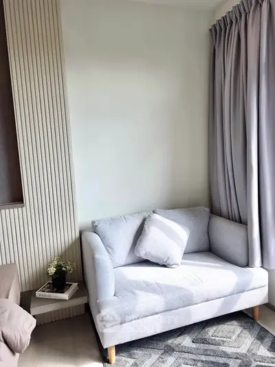 Cozy living room corner with modern sofa and natural light