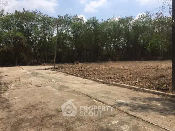 image_rental-12839129