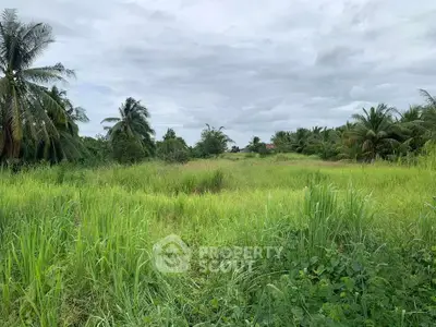 Expansive green land with lush vegetation and palm trees, perfect for development or agriculture.